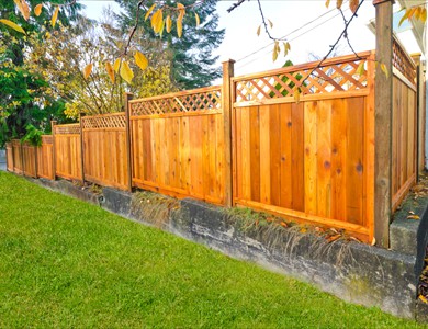 Fencing
